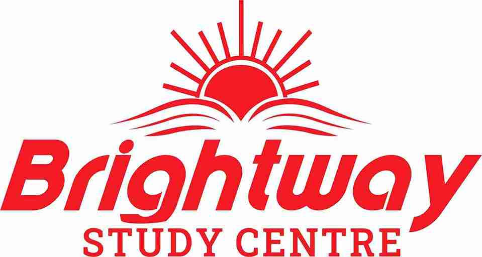 website logo